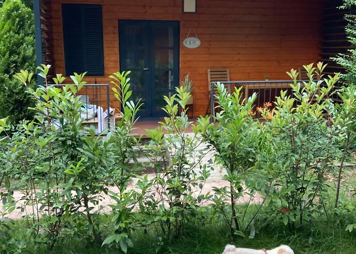 Case de vacanță Malna Privat Nyaralo